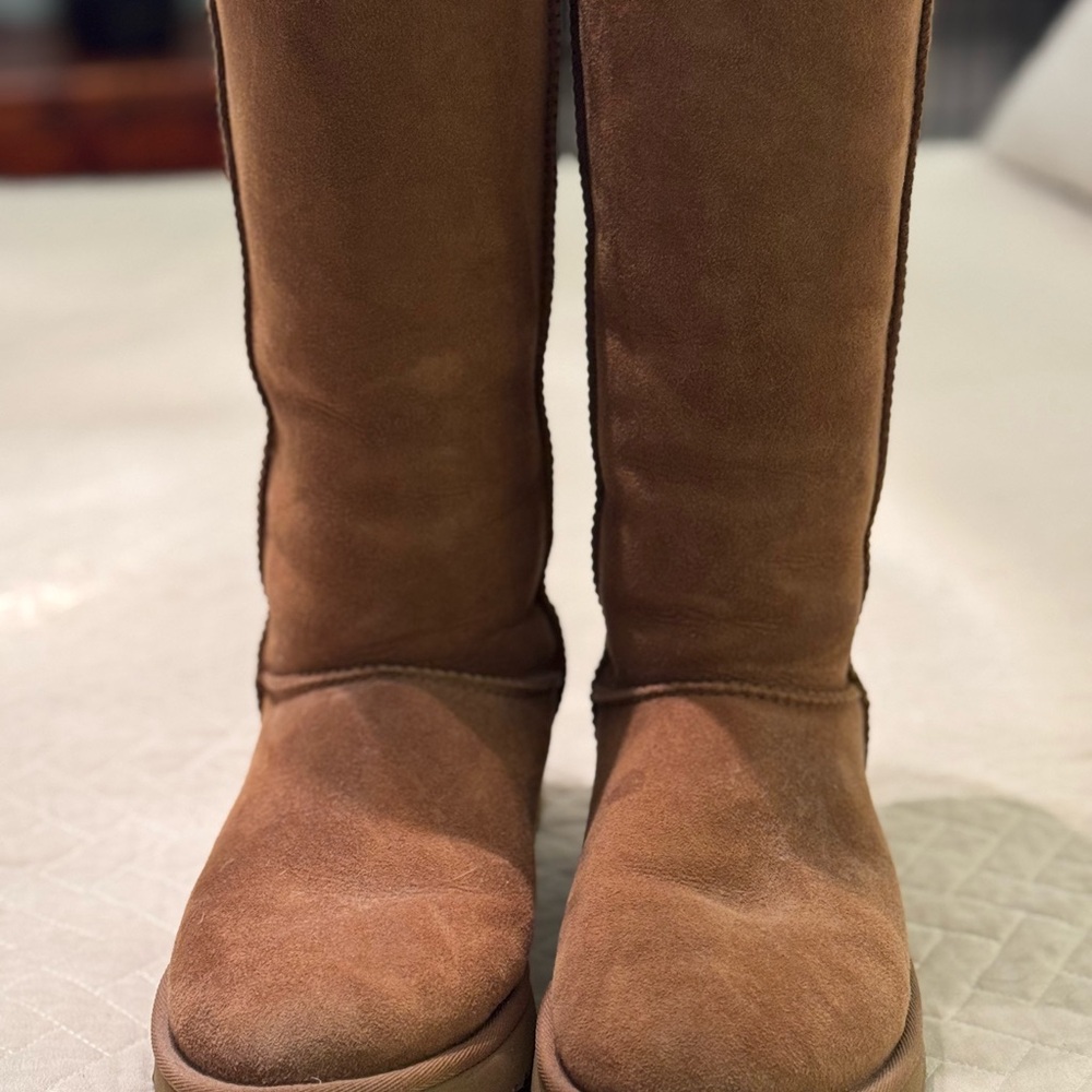 UGG Women's Brown Suede Winter Boots